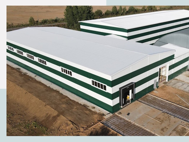 Строительство овощехранилищ в Истре