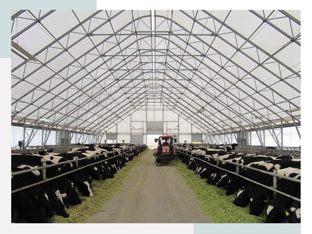 Тентовые коровники в Истре от 610 руб. - Надежно и доступно